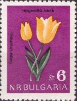 (1963-052) Марка Болгария "Тюльпан Урумова"   Цветы III Θ