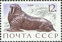 1971-076 Марка СССР Морж   Млекопитающие - обитатели морей и океанов II Θ
