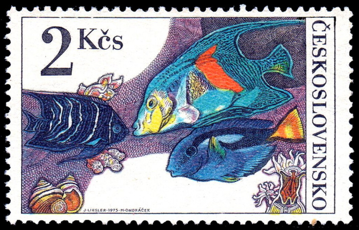 (1975-030) Марка Чехословакия &quot;Коран-ангел&quot;    Аквариумные рыбы III Θ