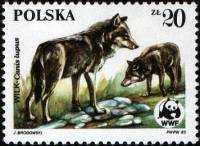 (1985-019) Марка Польша "Волк летом"    Всемирный фонд природы III Θ
