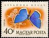 (1959-067) Марка Венгрия "Голубянка красивая"    Бабочки II Θ