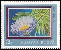 (1971-055) Марка Венгрия "Голубая кувшинка" ,  III O