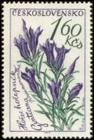 (1964-029) Марка Чехословакия "Болотная горечавка "    Цветы III Θ