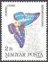 (1984-026) Марка Венгрия "Морфо киприда"    Бабочки II Θ