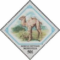 (1982-032) Марка Монголия "Верблюжонок"    Молодые животные III Θ