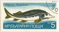 (1983-004) Марка Болгария "Осетр"   Пресноводная рыба III Θ