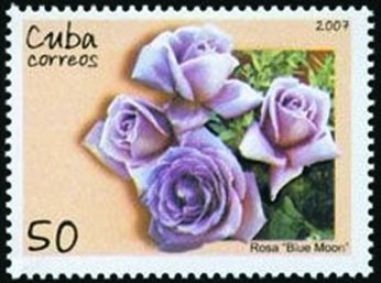 (№4999) Марка Куба 2007 год &quot;Голубая луна&quot;, Гашеная