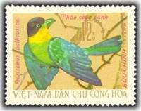(1966-034) Марка Вьетнам "Длиннохвостый ширококлюв"   Птицы III O