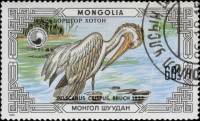 (1986-066) Марка Монголия "Кудрявый пеликан"    Охраняемые животные: пеликаны III Θ