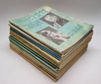 Набор журналов Роман-газета 20 номеров 1981 Годовая подборка, 15 шт. Москва Мягкая обл.  с. Без илл.