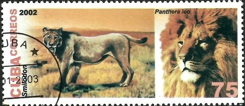 (№4492) Марка Куба 2002 год &quot;Sabertoothed Тигра Смилодона Лев Лев&quot;, Гашеная