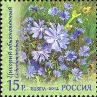 2014-035 Марка Россия Цикорий обыкновенный  Флора России. Полевые цветы III O