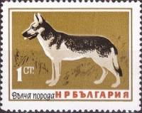 (1964-043) Марка Болгария "Овчарка"   Собаки I O