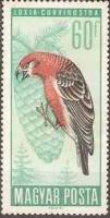 (1966-033) Марка Венгрия "Клёст-еловик" ,  III O