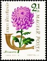 (1963-074) Марка Венгрия "Хризантема садовая" ,  III O