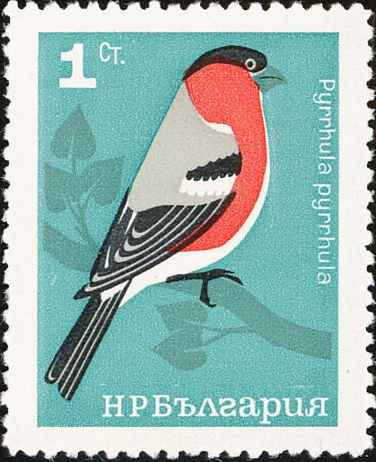 (1965-021) Марка Болгария "Снегирь"   Певчие птицы II &Theta;