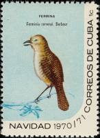 (1970-090) Марка Куба "Кубинский крапивник"    Рождество III Θ