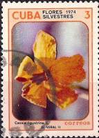 (1974-068) Марка Куба "Кассия остролистая"    Полевые цветы III Θ