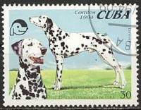 (№3773) Марка Куба 1994 год "Далматин canis волчанка familiaris", Гашеная