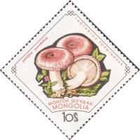 (1964-002) Марка Монголия "Мухомор"    Грибы II Θ