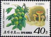 (1989-023) Марка Северная Корея "Орех серый"   Грибы и ягоды III Θ