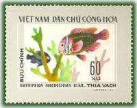 (1976-040) Марка Вьетнам "Томатный клоун"   Тропические рыбы III Θ