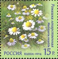 2014-036 Марка Россия Ромашка лекарственная  Флора России. Полевые цветы III O