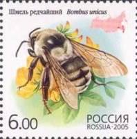 2005-046 Марка Россия Шмель редчайший  Фауна. Насекомые: шмели III O