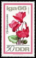 (1966-040) Марка Германия (ГДР) "Цикламен персидский"    Выставка цветов II Θ