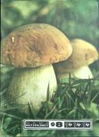 Журнал Юный натуралист 1977 № 8 Москва Мягкая обл. 48 с. С цв илл