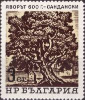 (1964-086) Марка Болгария "600-летний явор"   Вековые деревья III Θ