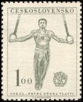 (1951-029) Марка Чехословакия "Гимнастика"    9 Сокол конгресс II Θ