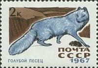 1967-076 Марка СССР Голубой песец   Пушные промысловые звери III O