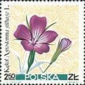 (1967-046) Марка Польша "Куколь обыкновенный"   Полевые цветы III Θ