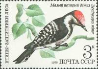 1979-071 Марка СССР Малый пёстрый дятел   Птицы III O