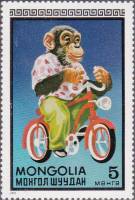 (1973-001) Марка Монголия "Обезьяна"    Монгольский цирк II O