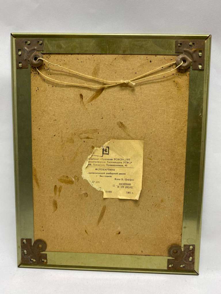 Картина Фото в металлической раме 3 шт, 30*24 см СССР