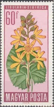 (1966-014) Марка Венгрия "Бузульник сибирский"    Цветы под защитой II &Theta;