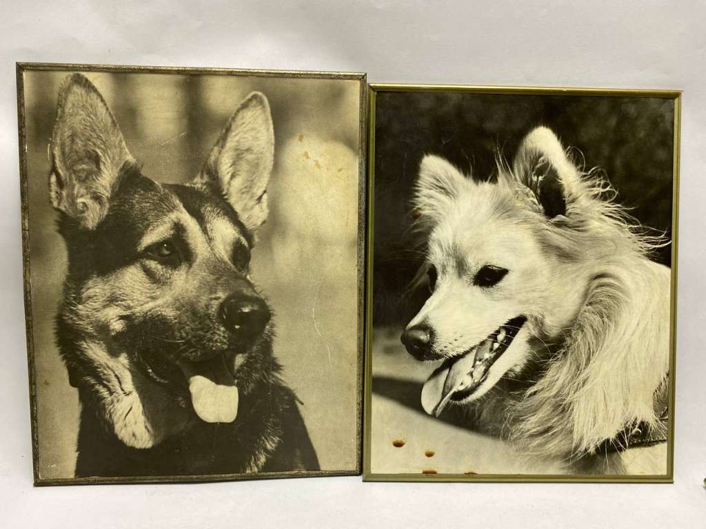 Картина Фото в металлической раме 3 шт, 30*24 см СССР