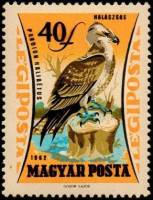 (1962-071) Марка Венгрия "Скопа"    Хищные птицы III Θ