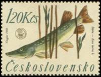 (1966-022) Марка Чехословакия "Щука "    Чемпионат мира по рыбалке III Θ