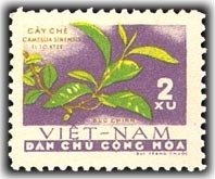 (1962-005) Марка Вьетнам "Чай"   Растения II Θ