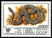 1977-102 Марка СССР Щитомордник обыкновенный  Фауна III Θ