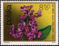 (1972-080) Марка Польша "Сирень"    Кустарниковые Цветы III Θ