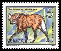 (1980-051) Марка Германия (ГДР) "Гривистый волк"    Охраняемые животные II Θ