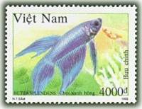 (1992-097) Марка Вьетнам "Сине-красно-сиреневая"    Сиамские бойцовые рыбы III O