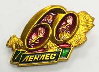 Значок Знак СССР "60 Ленлес" На булавке 