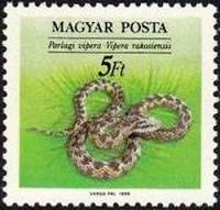 (1989-038) Марка Венгрия "Степная Гадюка"    Охрана природы. Рептилии II Θ