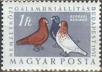 (1957-026) Марка Венгрия "Сегедский голубь"    Международная выставка голубей, Будапешт III Θ