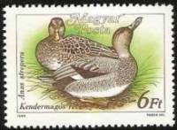 (1988-037) Марка Венгрия "Серая утка"    Дикие утки II Θ